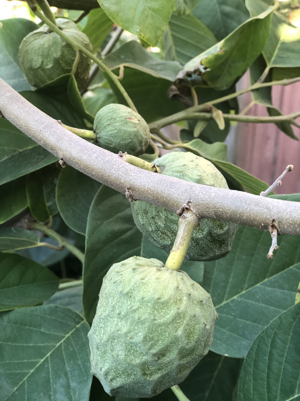 0C3CD5DC-BDEA-4955-BE3E-B38793B1BCED