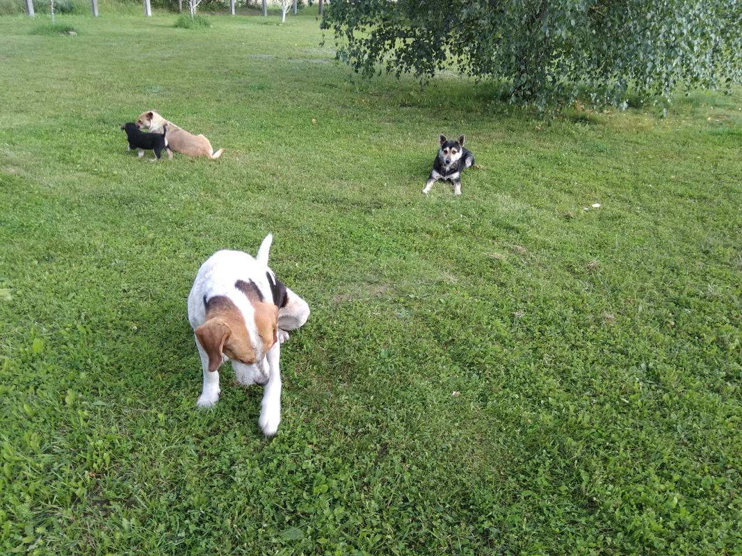 изображение_viber_2019-08-26_09-14-46