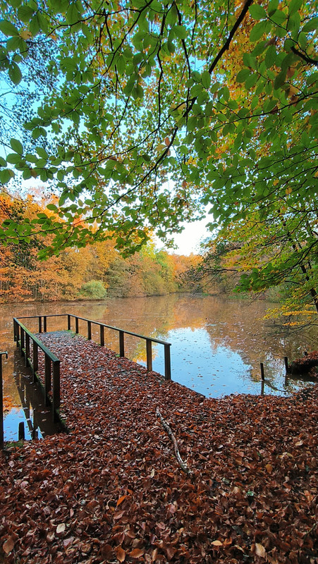 Lumii 20251106 083137700