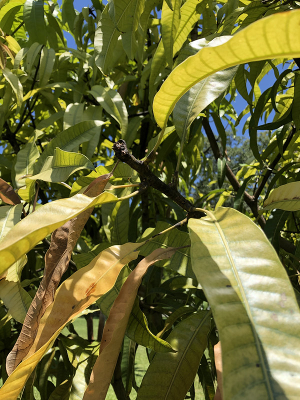 0FEAFCE4-5B02-4663-8772-140ED4646CE0