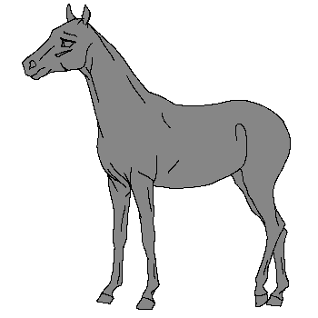 2FB3FCF1-7FF1-4339-9CAA-F42DF21C61D3