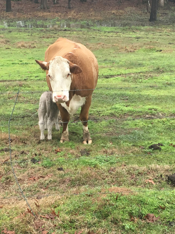 8F12628D-6371-41BB-8B95-0D74FF0A7EDC