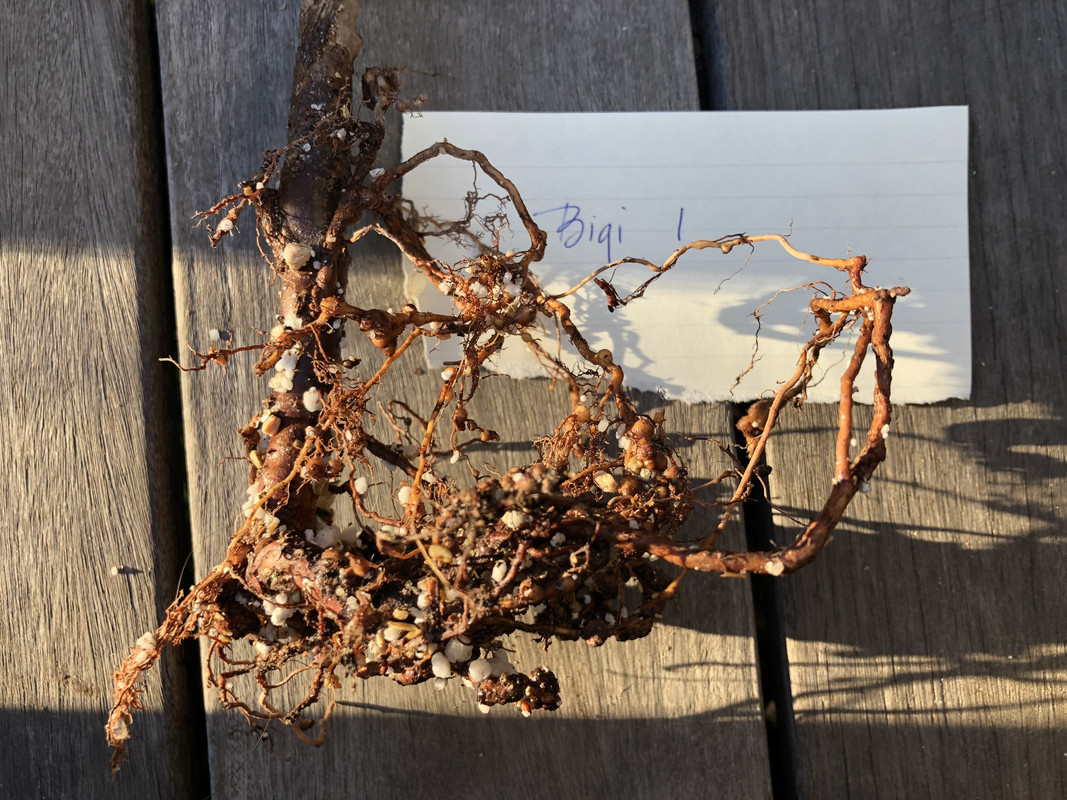 D89DE18F-1766-437F-94EA-051086788964