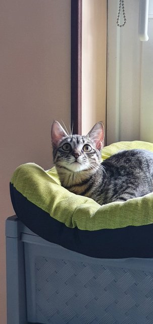 WhatsApp Image 2021-10-03 at 11.03.14