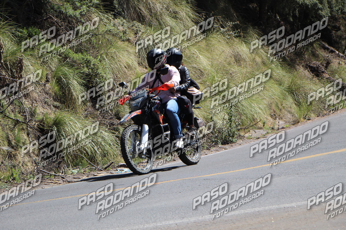 IMG 0638 wm 2423184 3 watermarked — Postimages