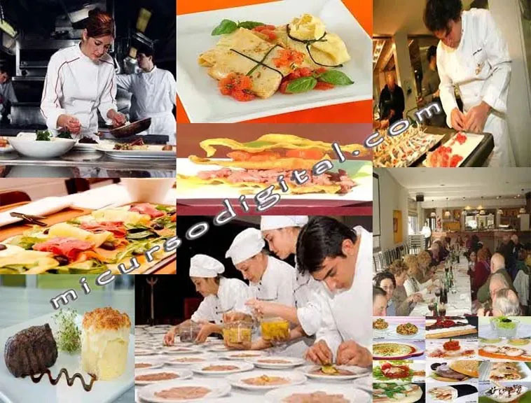 Curso cocina 9000 recetas gastronomía comida internacional Pdf