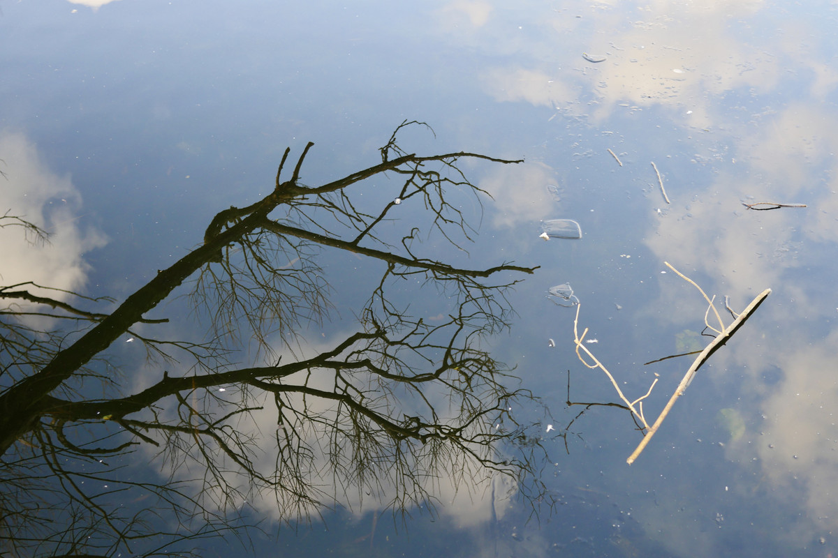 B0270D88-98F5-4A7B-B0A7-B886847B29DC