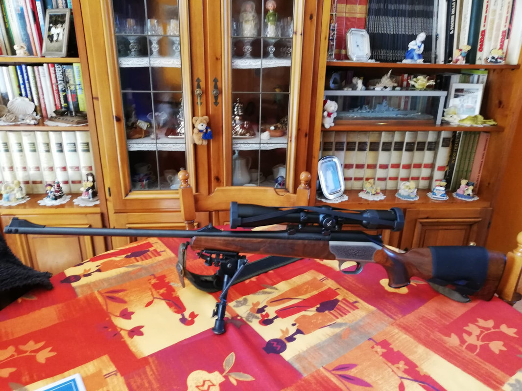 WhatsApp Image 2022-05-18 at 11.37.09 (1)