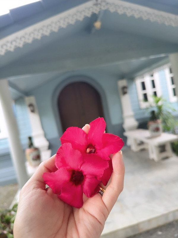 512452709-18511133137011325-2232368160097500935-n