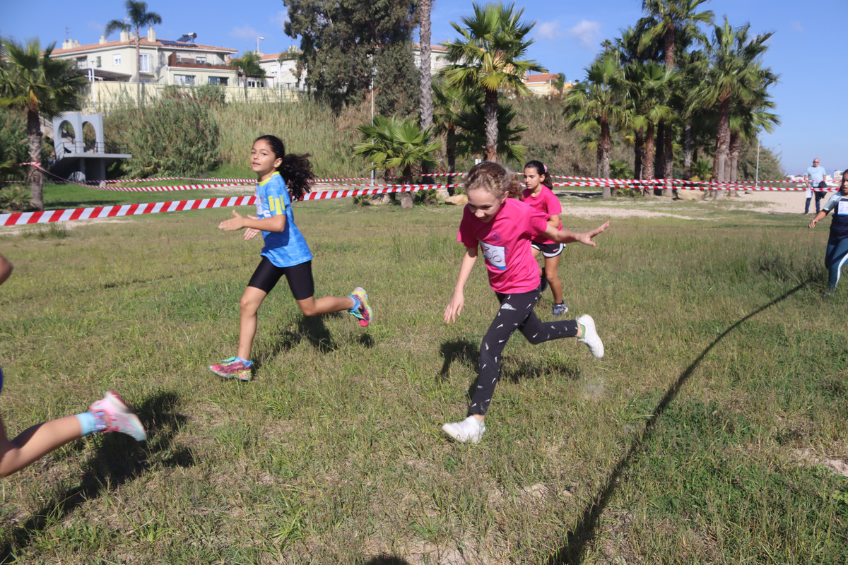 IMG-4185
