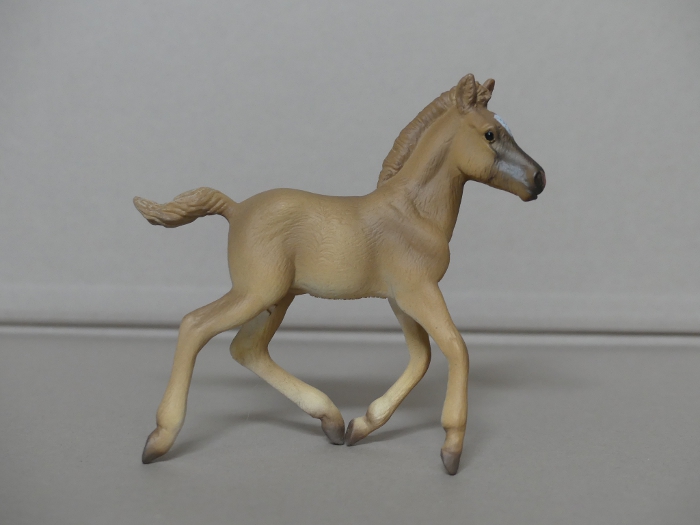 Pictures for Toy Animal Wiki - Page 14 Haflinger-Foal-Walking