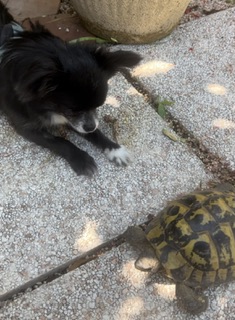 [Image: IMG-4958.jpg]