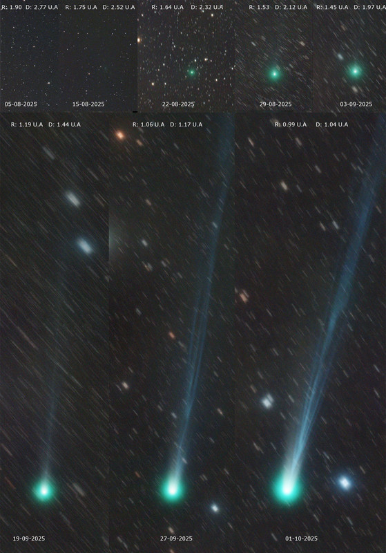 C2025A6_20251001_DID COMPO 2 M