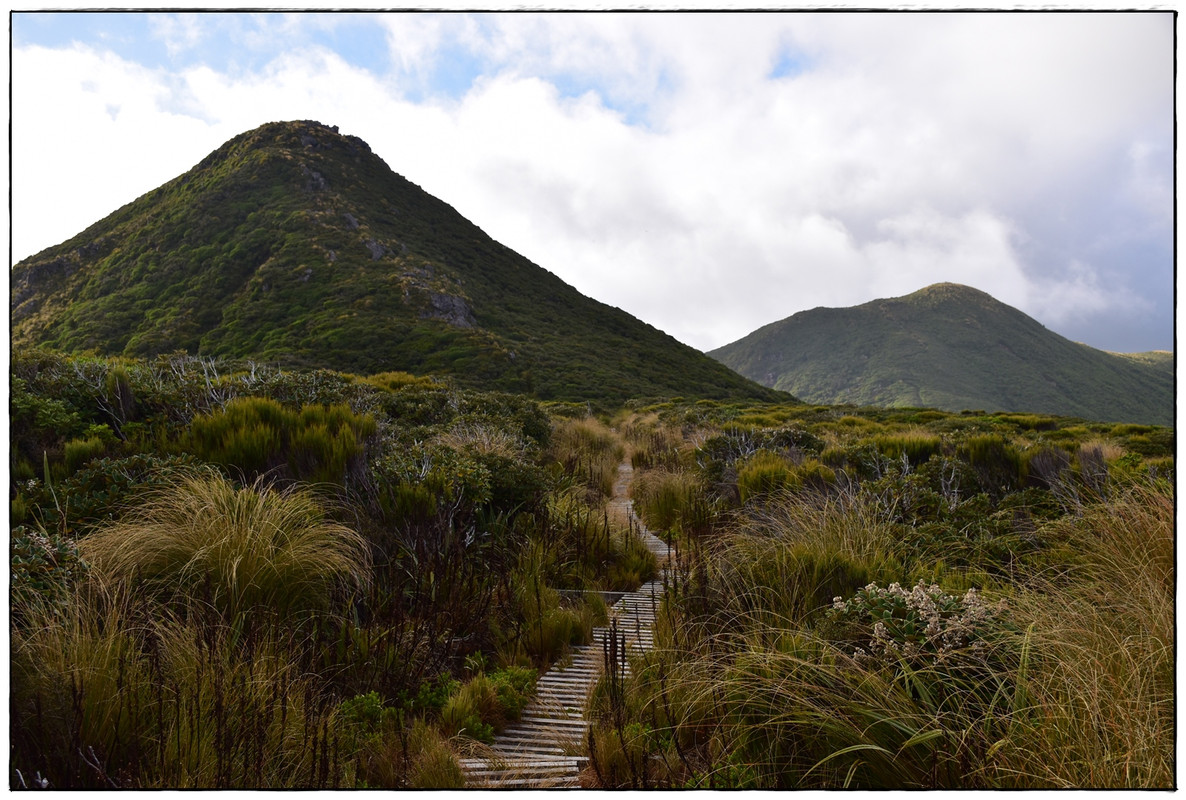 Egmont / Taranaki NP: Pouakai Circuit (marzo 2021) - Escapadas y rutas por la Nueva Zelanda menos conocida (28)