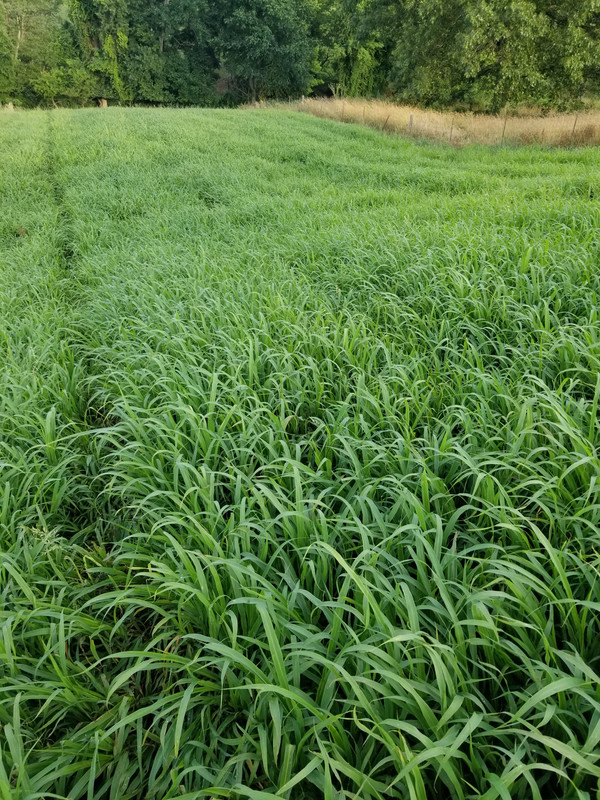 2121C207-C2E6-4296-B6AF-64583C1296CE