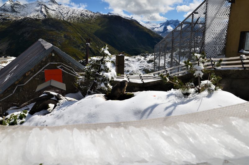 GLACIAR DE RODANO-9-9-2019 - Suiza y sus pueblos-2019 (76)