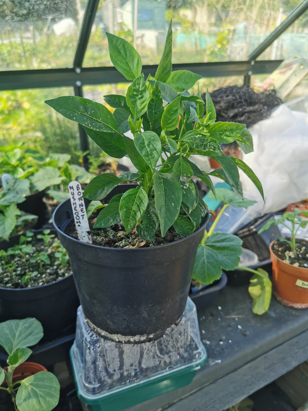 WhatsApp Image 2021-05-23 at 10.35.56 (2)