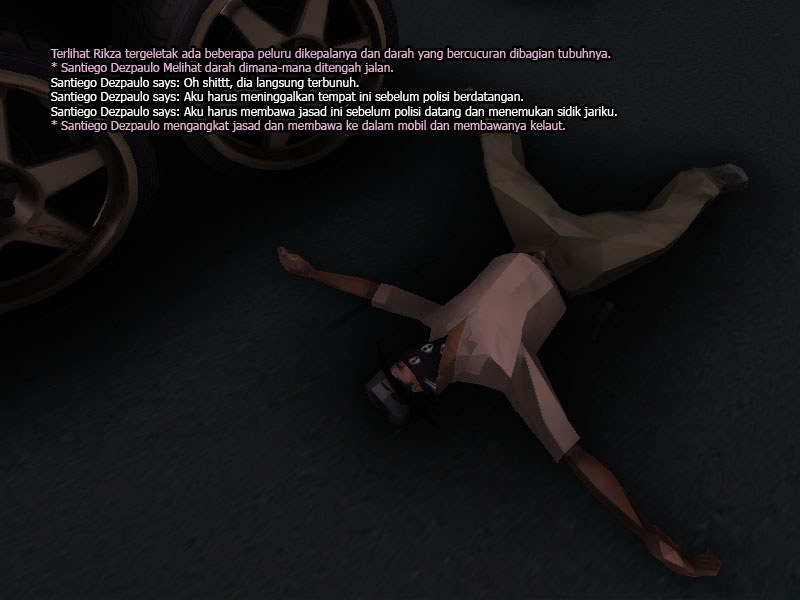 ssrp17.jpg