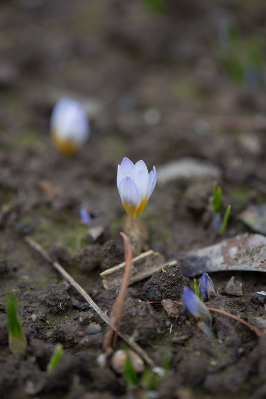 IMG-20e91767c0ce43743a69b30e5f3d7819-V