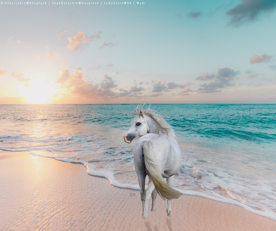 5CB058D9-638D-484E-9223-D5769CE27D7B