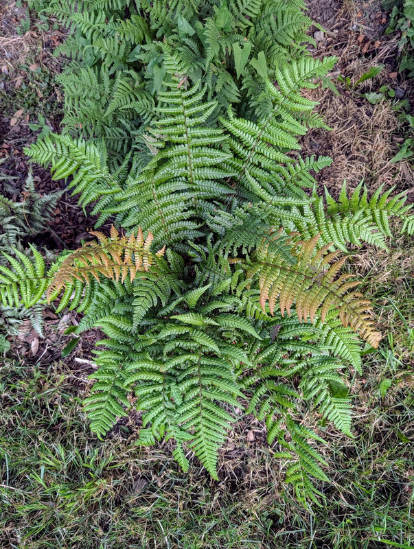 PXL_20240831_090357423~2