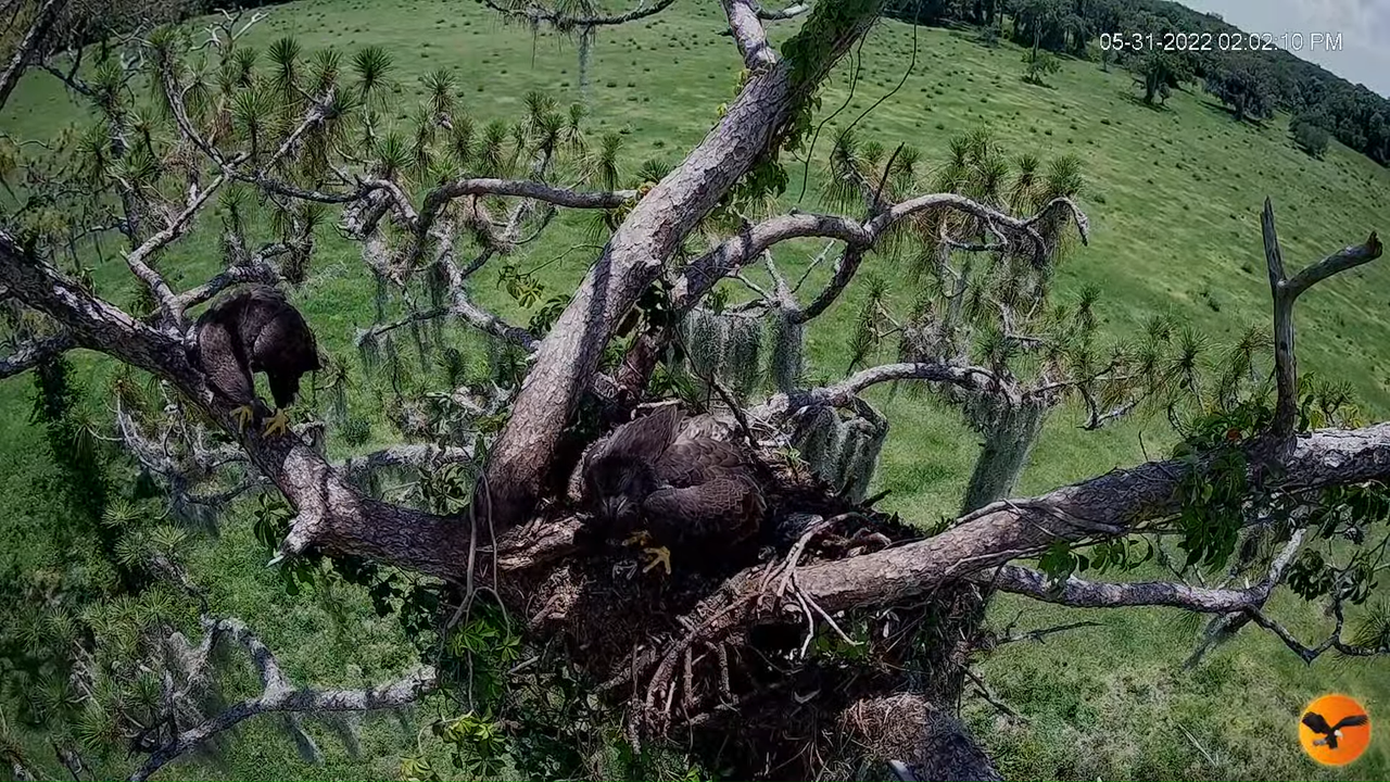 EC 4K Overhead Cam 12-56-43 screenshot