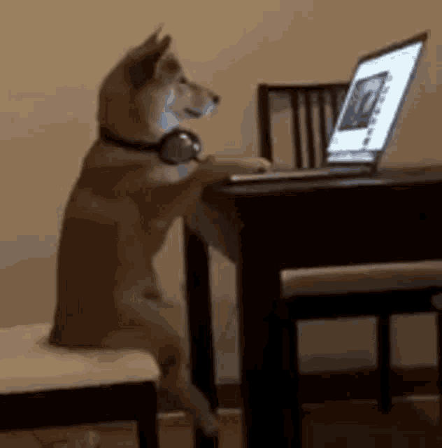 1693862928076.gif