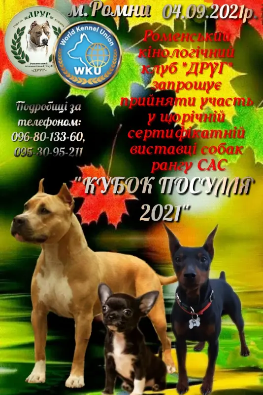 received_1250184668773899