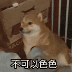 IMG-7030.gif