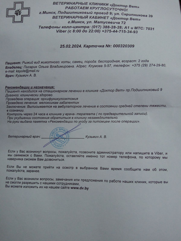 изображение_viber_2024-02-26_23-06-25-946