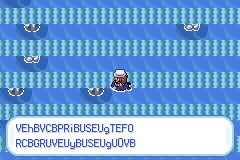 the screen and text are glitchy.