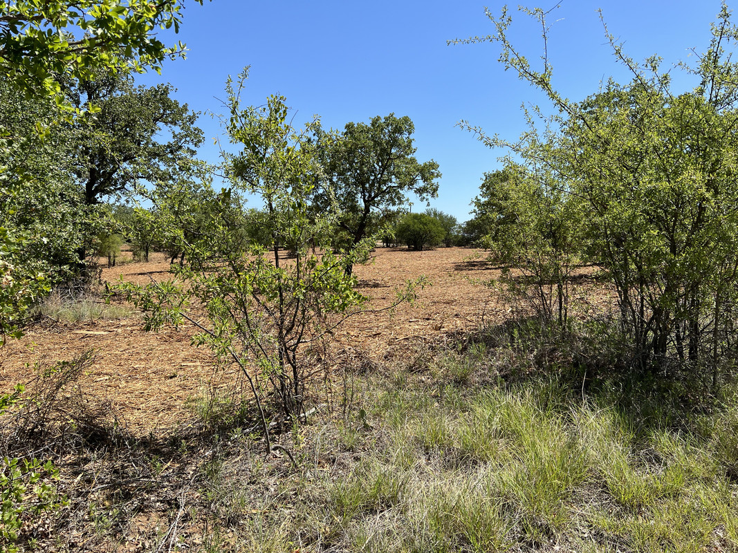 2F0935CE-6D3E-416B-82B2-9ADFD1553B25