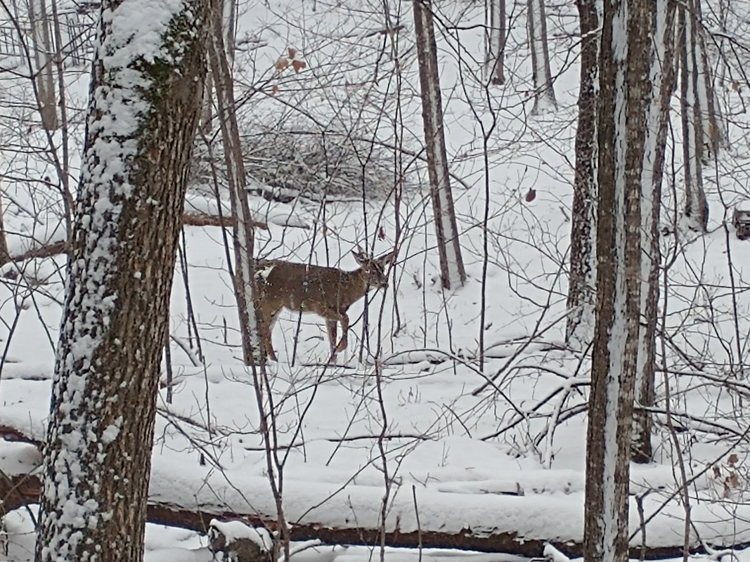 IMG_20211113_134505190