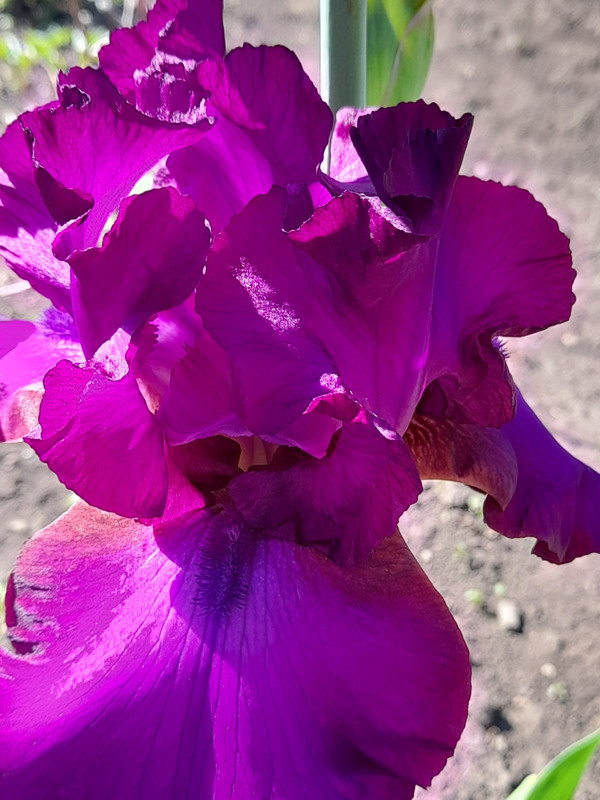 Изображение WhatsApp 2025-05-16 в 09.04.11_11942cf5