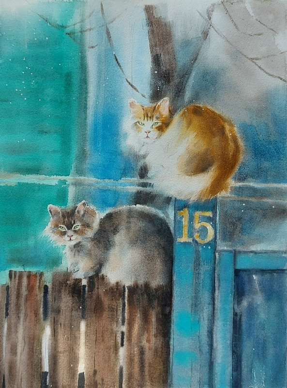 23