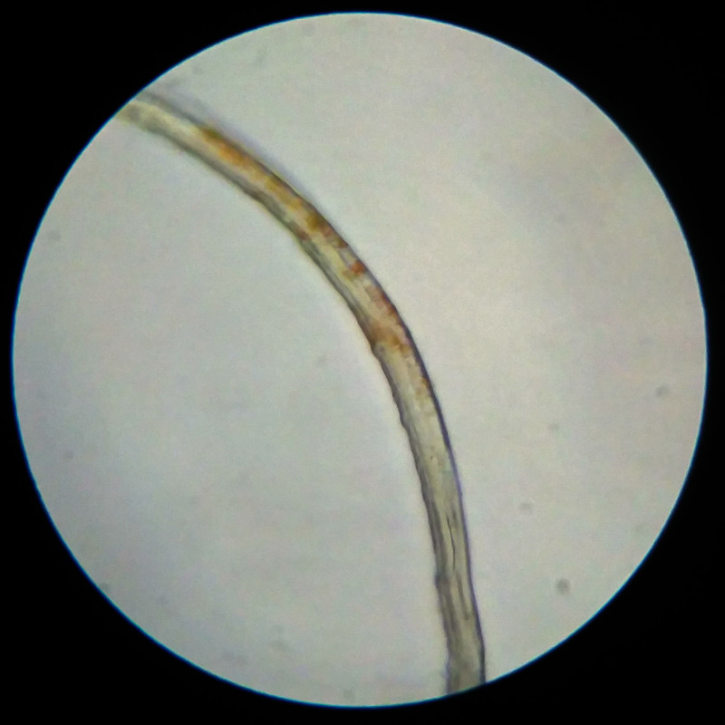 IMG 20250617 112235 HDR