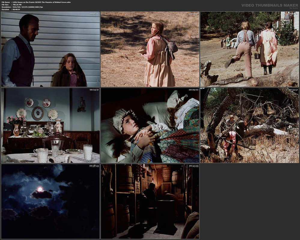 Little House on the Prairie S03E05 The Monster of Walnut Grove.mkv