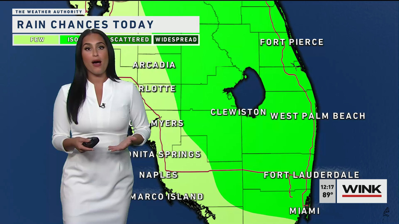05.16 - 17.00.00 - The WINK Noon News. Midday news update..ts_snapshot_24.32.193