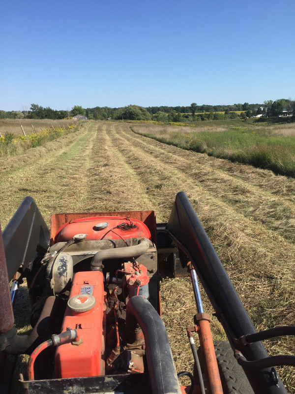 2094049A-9EF4-498E-84C2-8799477DA01A