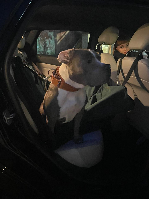 76617EAE-037C-4195-B244-942ECAAE73B4