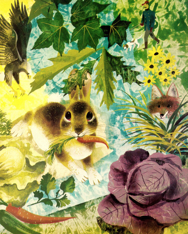 5318638196_1d15c436ef_o