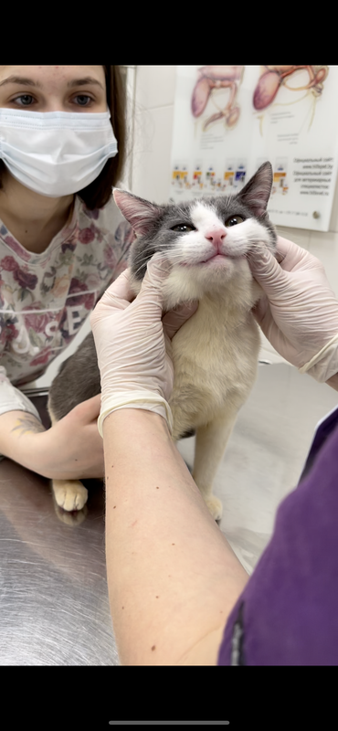 2C1E7294-6025-49F9-B589-E804E1D976D2