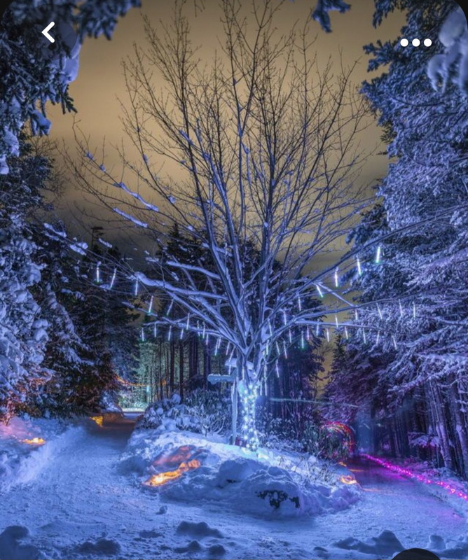 Screenshot_20231010_233813_Pinterest