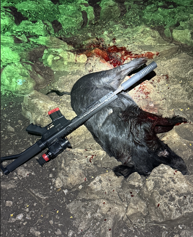 Screen Shot 2024-12-07 at 7.19.04 PM