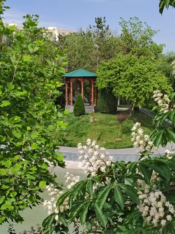 https://i.postimg.cc/brGmqpL3/031-IMG-20230417-143225.jpg