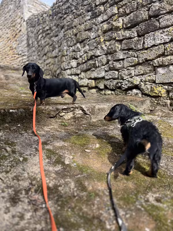 [Image: IMG-20250321-075305.avif]