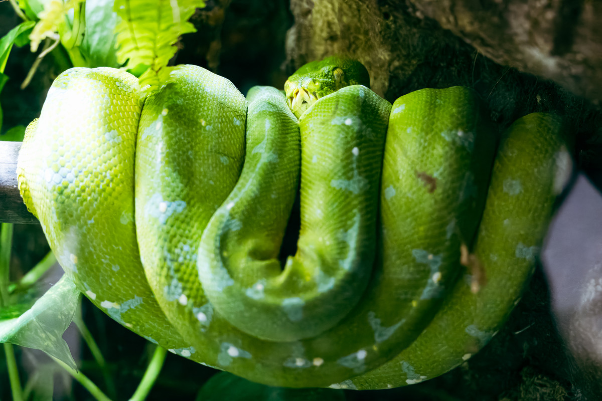 korea2024LRexport-46