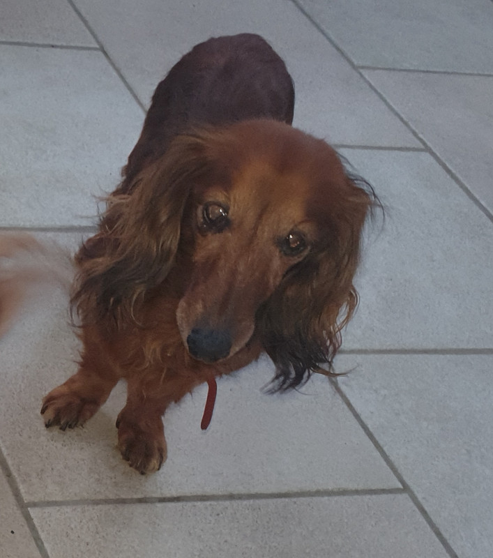 [Image: 20220128-080728.jpg]