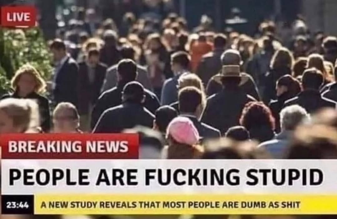 people-are-stupid-news.jpg