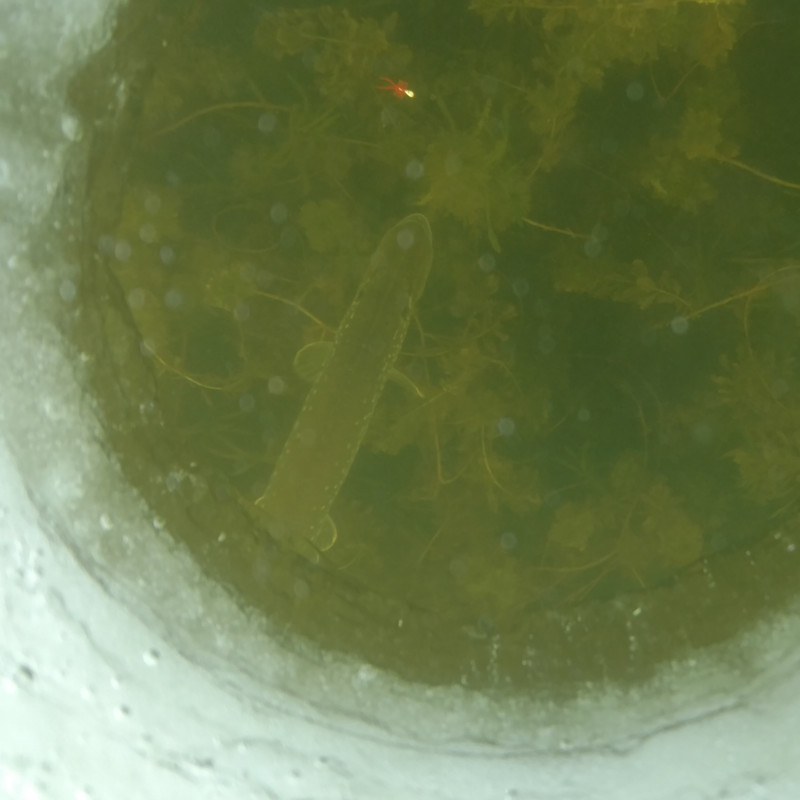 IMG_20210306_112055219 (2)